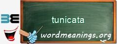 WordMeaning blackboard for tunicata